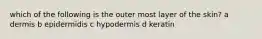 which of the following is the outer most layer of the skin? a dermis b epidermidis c hypodermis d keratin