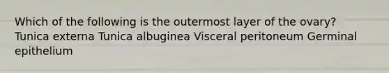 Which of the following is the outermost layer of the ovary? Tunica externa Tunica albuginea Visceral peritoneum Germinal epithelium