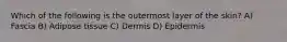 Which of the following is the outermost layer of the skin? A) Fascia B) Adipose tissue C) Dermis D) Epidermis