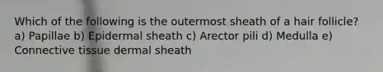 Which of the following is the outermost sheath of a hair follicle? a) Papillae b) Epidermal sheath c) Arector pili d) Medulla e) Connective tissue dermal sheath