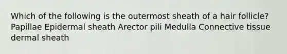 Which of the following is the outermost sheath of a hair follicle? Papillae Epidermal sheath Arector pili Medulla Connective tissue dermal sheath