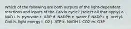 Which of the following are both outputs of the light-dependent reactions and inputs of the Calvin cycle? (select all that apply) a. NAD+ b. pyruvate c. ADP d. NADPH e. water f. NADP+ g. acetyl-CoA h. light energy i. O2 j. ATP k. NADH l. CO2 m. G3P