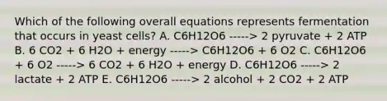 Which of the following overall equations represents fermentation that occurs in yeast cells? A. C6H12O6 -----> 2 pyruvate + 2 ATP B. 6 CO2 + 6 H2O + energy -----> C6H12O6 + 6 O2 C. C6H12O6 + 6 O2 -----> 6 CO2 + 6 H2O + energy D. C6H12O6 -----> 2 lactate + 2 ATP E. C6H12O6 -----> 2 alcohol + 2 CO2 + 2 ATP