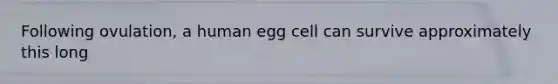 Following ovulation, a human egg cell can survive approximately this long