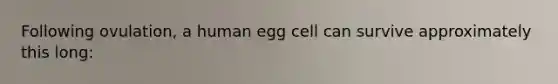 Following ovulation, a human egg cell can survive approximately this long: