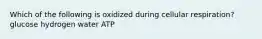 Which of the following is oxidized during cellular respiration? glucose hydrogen water ATP