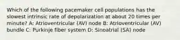 Which of the following pacemaker cell populations has the slowest intrinsic rate of depolarization at about 20 times per minute? A: Atrioventricular (AV) node B: Atrioventricular (AV) bundle C: Purkinje fiber system D: Sinoatrial (SA) node