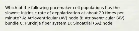 Which of the following pacemaker cell populations has the slowest intrinsic rate of depolarization at about 20 times per minute? A: Atrioventricular (AV) node B: Atrioventricular (AV) bundle C: Purkinje fiber system D: Sinoatrial (SA) node