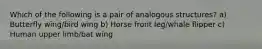 Which of the following is a pair of analogous structures? a) Butterfly wing/bird wing b) Horse front leg/whale flipper c) Human upper limb/bat wing