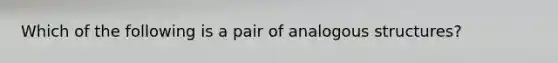 Which of the following is a pair of analogous structures?