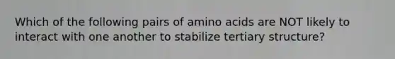 Which of the following pairs of <a href='https://www.questionai.com/knowledge/k9gb720LCl-amino-acids' class='anchor-knowledge'>amino acids</a> are NOT likely to interact with one another to stabilize <a href='https://www.questionai.com/knowledge/kf06vGllnT-tertiary-structure' class='anchor-knowledge'>tertiary structure</a>?