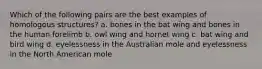 Which of the following pairs are the best examples of homologous structures? a. bones in the bat wing and bones in the human forelimb b. owl wing and hornet wing c. bat wing and bird wing d. eyelessness in the Australian mole and eyelessness in the North American mole