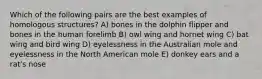 Which of the following pairs are the best examples of homologous structures? A) bones in the dolphin flipper and bones in the human forelimb B) owl wing and hornet wing C) bat wing and bird wing D) eyelessness in the Australian mole and eyelessness in the North American mole E) donkey ears and a rat's nose