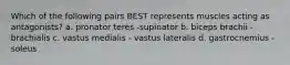 Which of the following pairs BEST represents muscles acting as antagonists? a. pronator teres -supinator b. biceps brachii - brachialis c. vastus medialis - vastus lateralis d. gastrocnemius - soleus