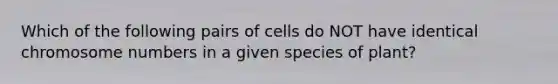 Which of the following pairs of cells do NOT have identical chromosome numbers in a given species of plant?