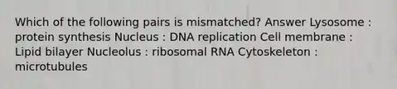 Which of the following pairs is mismatched? Answer Lysosome : protein synthesis Nucleus : DNA replication Cell membrane : Lipid bilayer Nucleolus : ribosomal RNA Cytoskeleton : microtubules