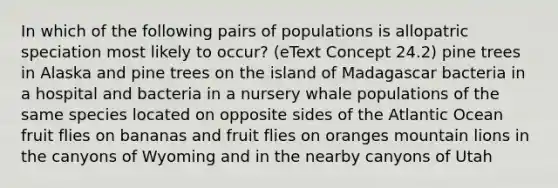 In which of the following pairs of populations is allopatric speciation most likely to occur? (eText Concept 24.2) pine trees in Alaska and pine trees on the island of Madagascar bacteria in a hospital and bacteria in a nursery whale populations of the same species located on opposite sides of the Atlantic Ocean fruit flies on bananas and fruit flies on oranges mountain lions in the canyons of Wyoming and in the nearby canyons of Utah