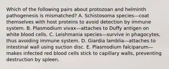 Which of the following pairs about protozoan and helminth pathogenesis is mismatched? A. Schistosoma species—coat themselves with host proteins to avoid detection by immune system. B. Plasmodium vivax—attaches to Duffy antigen on white blood cells. C. Leishmania species—survive in phagocytes, thus avoiding immune system. D. Giardia lamblia—attaches to intestinal wall using suction disc. E. Plasmodium falciparum—makes infected red blood cells stick to capillary walls, preventing destruction by spleen.