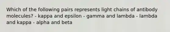 Which of the following pairs represents light chains of antibody molecules? - kappa and epsilon - gamma and lambda - lambda and kappa - alpha and beta