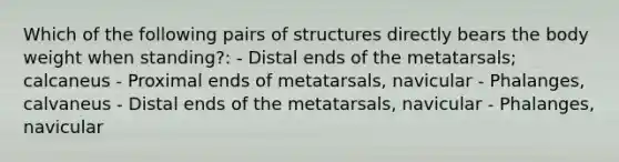 Which of the following pairs of structures directly bears the body weight when standing?: - Distal ends of the metatarsals; calcaneus - Proximal ends of metatarsals, navicular - Phalanges, calvaneus - Distal ends of the metatarsals, navicular - Phalanges, navicular