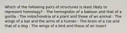 Which of the following pairs of structures is least likely to represent homology? - The hemoglobin of a baboon and that of a gorilla - The mitochondria of a plant and those of an animal - The wings of a bat and the arms of a human - The brain of a cat and that of a dog - The wings of a bird and those of an insect