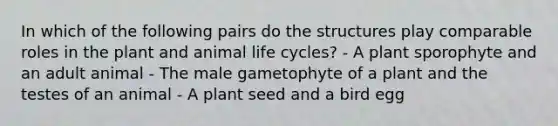 In which of the following pairs do the structures play comparable roles in the plant and animal life cycles? - A plant sporophyte and an adult animal - The male gametophyte of a plant and the testes of an animal - A plant seed and a bird egg