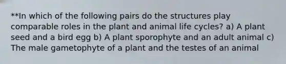 **In which of the following pairs do the structures play comparable roles in the plant and animal life cycles? a) A plant seed and a bird egg b) A plant sporophyte and an adult animal c) The male gametophyte of a plant and the testes of an animal