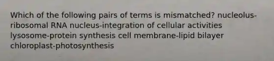 Which of the following pairs of terms is mismatched? nucleolus-ribosomal RNA nucleus-integration of cellular activities lysosome-protein synthesis cell membrane-lipid bilayer chloroplast-photosynthesis