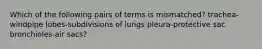 Which of the following pairs of terms is mismatched? trachea-windpipe lobes-subdivisions of lungs pleura-protective sac bronchioles-air sacs?