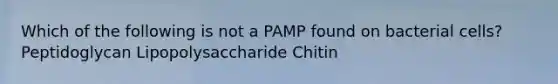 Which of the following is not a PAMP found on bacterial cells? Peptidoglycan Lipopolysaccharide Chitin