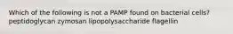 Which of the following is not a PAMP found on bacterial cells? peptidoglycan zymosan lipopolysaccharide flagellin