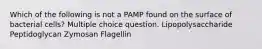 Which of the following is not a PAMP found on the surface of bacterial cells? Multiple choice question. Lipopolysaccharide Peptidoglycan Zymosan Flagellin