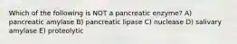 Which of the following is NOT a pancreatic enzyme? A) pancreatic amylase B) pancreatic lipase C) nuclease D) salivary amylase E) proteolytic