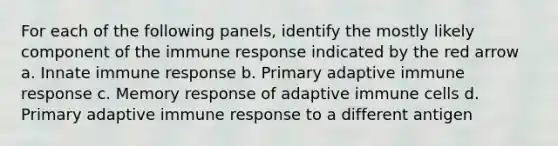 For each of the following panels, identify the mostly likely component of the immune response indicated by the red arrow a. Innate immune response b. Primary adaptive immune response c. Memory response of adaptive immune cells d. Primary adaptive immune response to a different antigen