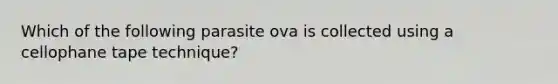 Which of the following parasite ova is collected using a cellophane tape technique?