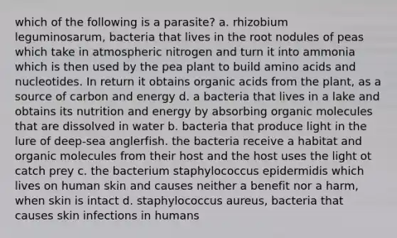 which of the following is a parasite? a. rhizobium leguminosarum, bacteria that lives in the root nodules of peas which take in atmospheric nitrogen and turn it into ammonia which is then used by the pea plant to build amino acids and nucleotides. In return it obtains organic acids from the plant, as a source of carbon and energy d. a bacteria that lives in a lake and obtains its nutrition and energy by absorbing organic molecules that are dissolved in water b. bacteria that produce light in the lure of deep-sea anglerfish. the bacteria receive a habitat and organic molecules from their host and the host uses the light ot catch prey c. the bacterium staphylococcus epidermidis which lives on human skin and causes neither a benefit nor a harm, when skin is intact d. staphylococcus aureus, bacteria that causes skin infections in humans