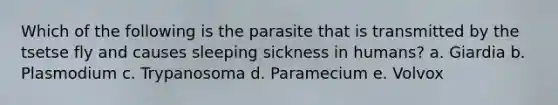 Which of the following is the parasite that is transmitted by the tsetse fly and causes sleeping sickness in humans? a. Giardia b. Plasmodium c. Trypanosoma d. Paramecium e. Volvox