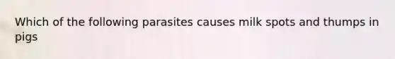 Which of the following parasites causes milk spots and thumps in pigs