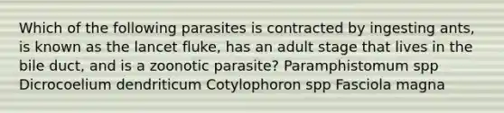 Which of the following parasites is contracted by ingesting ants, is known as the lancet fluke, has an adult stage that lives in the bile duct, and is a zoonotic parasite? Paramphistomum spp Dicrocoelium dendriticum Cotylophoron spp Fasciola magna