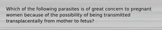 Which of the following parasites is of great concern to pregnant women because of the possibility of being transmitted transplacentally from mother to fetus?