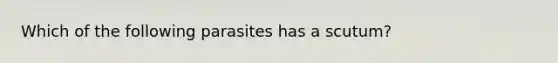 Which of the following parasites has a scutum?
