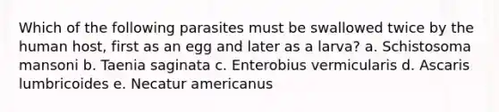 Which of the following parasites must be swallowed twice by the human host, first as an egg and later as a larva? a. Schistosoma mansoni b. Taenia saginata c. Enterobius vermicularis d. Ascaris lumbricoides e. Necatur americanus