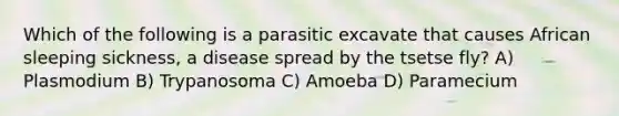 Which of the following is a parasitic excavate that causes African sleeping sickness, a disease spread by the tsetse fly? A) Plasmodium B) Trypanosoma C) Amoeba D) Paramecium