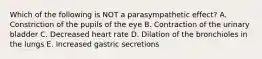 Which of the following is NOT a parasympathetic effect? A. Constriction of the pupils of the eye B. Contraction of the urinary bladder C. Decreased heart rate D. Dilation of the bronchioles in the lungs E. Increased gastric secretions