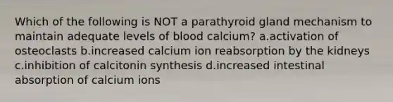 Which of the following is NOT a parathyroid gland mechanism to maintain adequate levels of blood calcium? a.activation of osteoclasts b.increased calcium ion reabsorption by the kidneys c.inhibition of calcitonin synthesis d.increased intestinal absorption of calcium ions