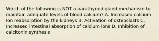 Which of the following is NOT a parathyroid gland mechanism to maintain adequate levels of blood calcium? A. Increased calcium Ion reabsorption by the kidneys B. Activation of osteoclasts C. Increased intestinal absorption of calcium ions D. Inhibition of calcitonin synthesis