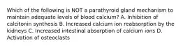 Which of the following is NOT a parathyroid gland mechanism to maintain adequate levels of blood calcium? A. Inhibition of calcitonin synthesis B. Increased calcium ion reabsorption by the kidneys C. Increased intestinal absorption of calcium ions D. Activation of osteoclasts