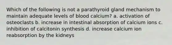 Which of the following is not a parathyroid gland mechanism to maintain adequate levels of blood calcium? a. activation of osteoclasts b. increase in intestinal absorption of calcium ions c. inhibition of calcitonin synthesis d. increase calcium ion reabsorption by the kidneys