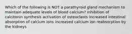 Which of the following is NOT a parathyroid gland mechanism to maintain adequate levels of blood calcium? inhibition of calcitonin synthesis activation of osteoclasts increased intestinal absorption of calcium ions increased calcium ion reabsorption by the kidneys