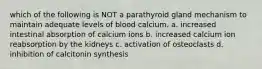 which of the following is NOT a parathyroid gland mechanism to maintain adequate levels of blood calcium. a. increased intestinal absorption of calcium ions b. increased calcium ion reabsorption by the kidneys c. activation of osteoclasts d. inhibition of calcitonin synthesis